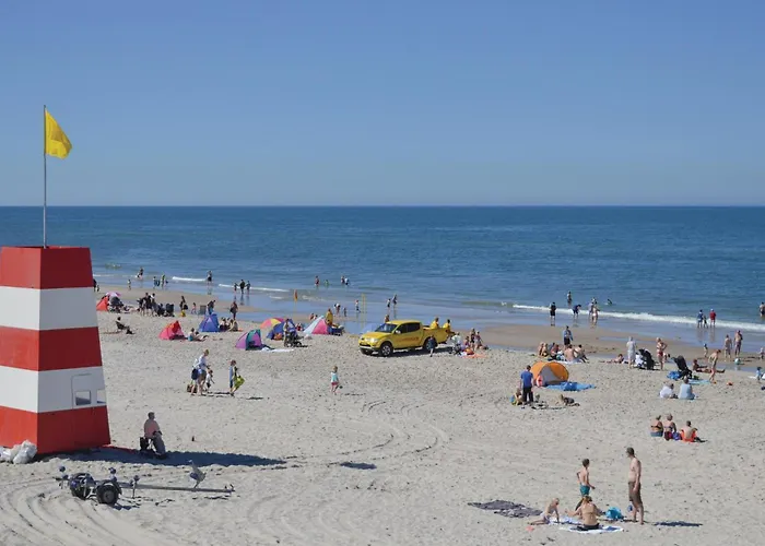 With A Fireplace 01 *