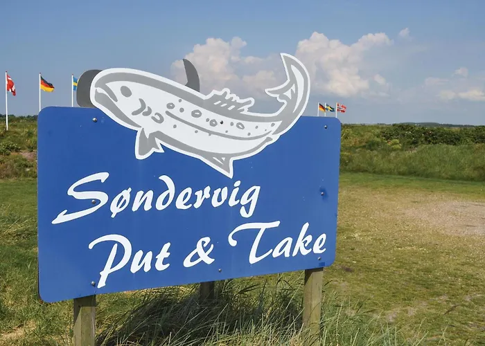 Holiday home With A Fireplace 01 Ringkobing